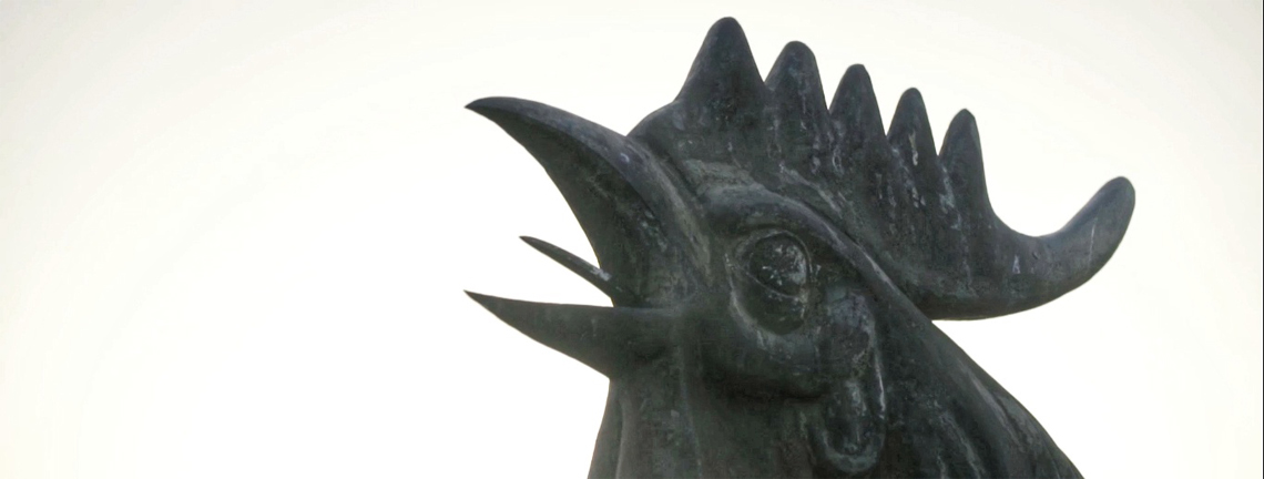 Le coq de Morón